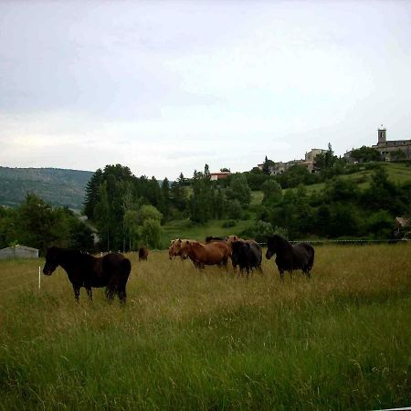 Gite Provence Luberon -Paca- Acces Pmr-Ancv Revest-des-Brousses Esterno foto
