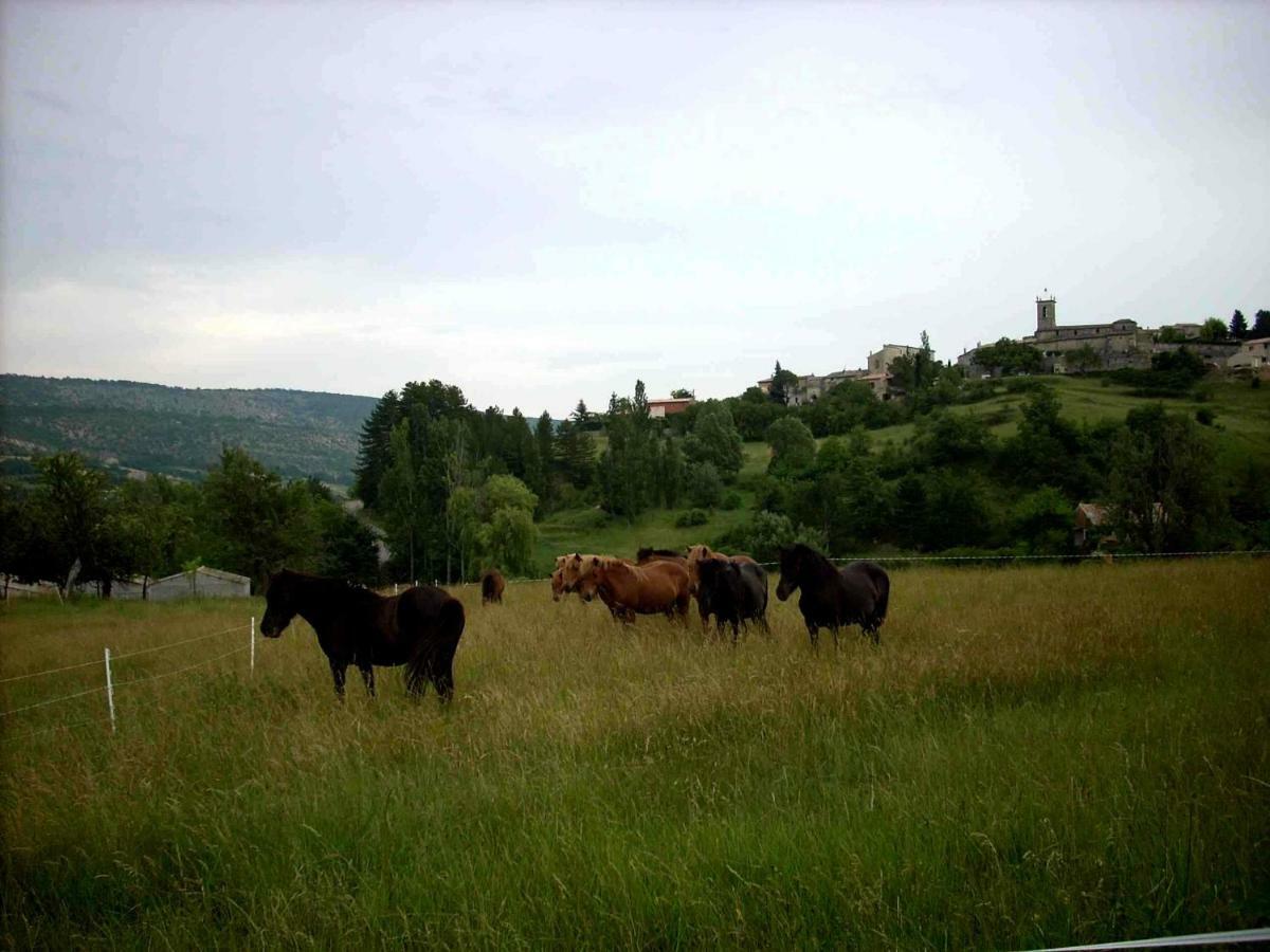 Gite Provence Luberon -Paca- Acces Pmr-Ancv Revest-des-Brousses Esterno foto