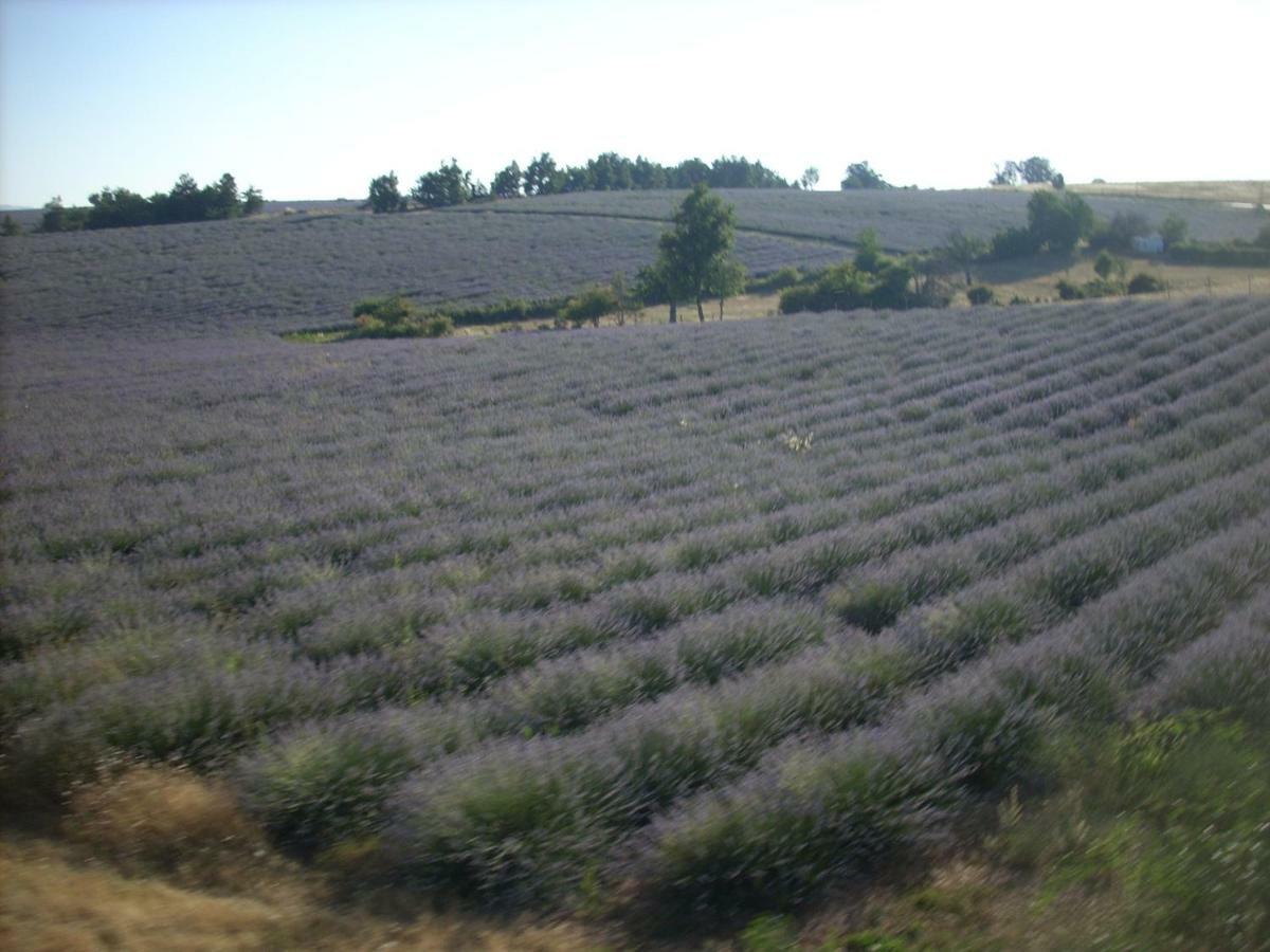 Gite Provence Luberon -Paca- Acces Pmr-Ancv Revest-des-Brousses Esterno foto