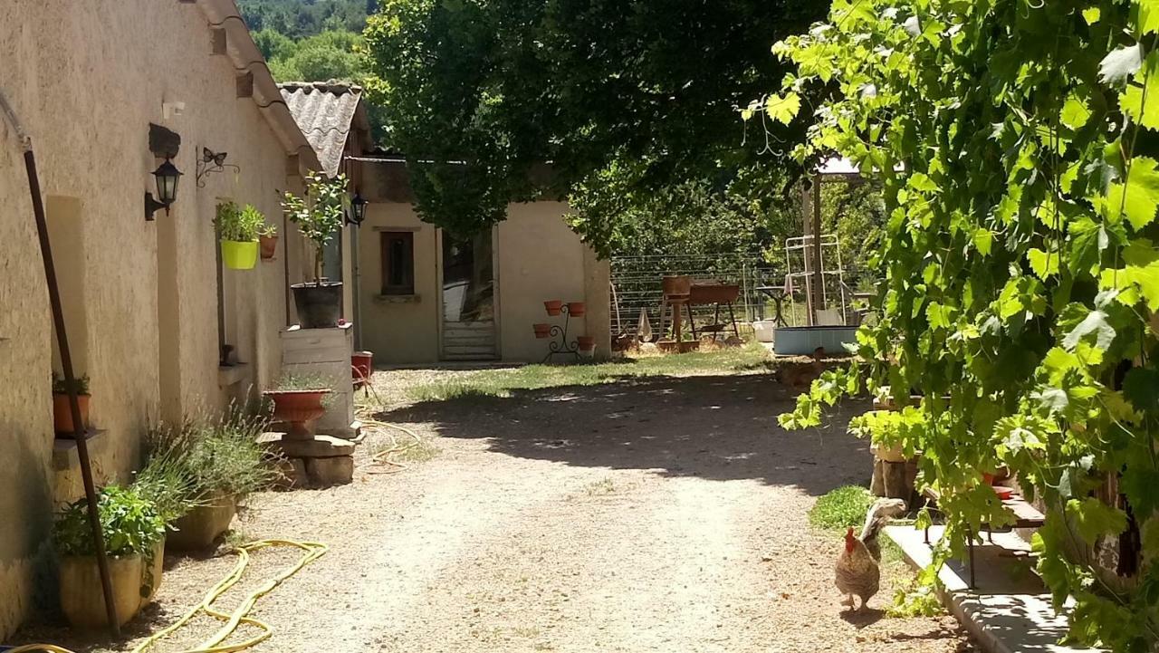 Gite Provence Luberon -Paca- Acces Pmr-Ancv Revest-des-Brousses Esterno foto