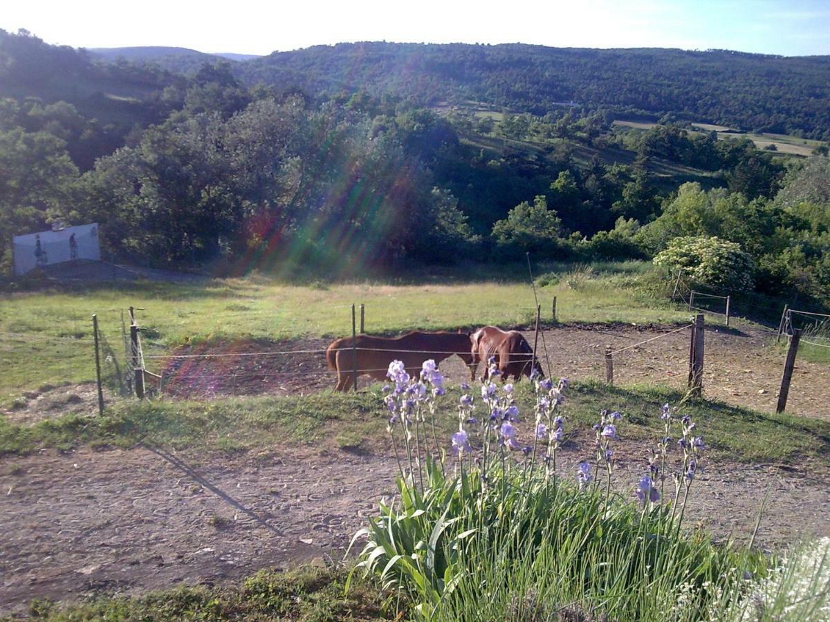 Gite Provence Luberon -Paca- Acces Pmr-Ancv Revest-des-Brousses Esterno foto